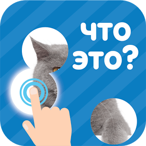 Скачать 101 Картинка : Фото Викторина