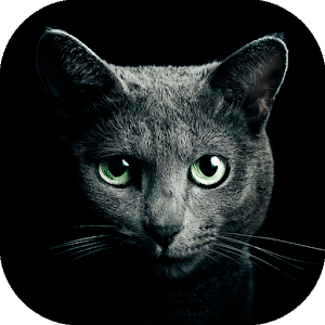 Скачать Найди кота