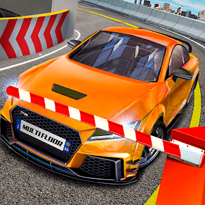 Скачать Multi Floor Garage Driver