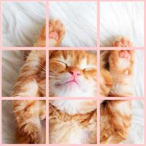 Скачать Super Cute Puzzle