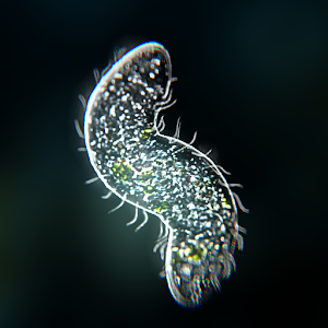 Скачать Bionix: Одноклеточные приключения