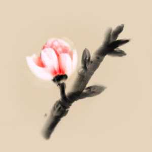 Скачать Mirages of Winter